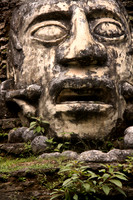 Stone face