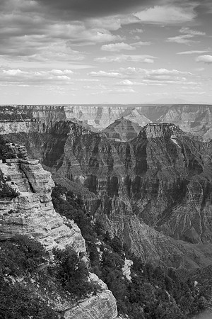 Grand Canyon National Park North Rim - black and white